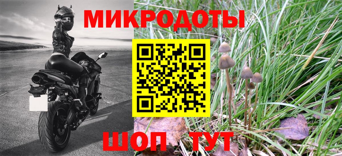 Красноармейск  Псилоцибиновые грибы ЛСД  Вход с VPN 